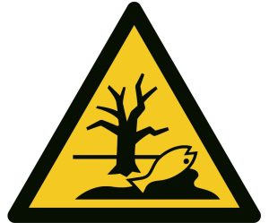 CORSO DI AGGIORNAMENTO ANTINCENDIO: ELEMENTI PER LA VALUTAZIONE DEL RISCHIO AMBIENTE SECONDO IL D.M. 03/08/2015 – ORDINE DEGLI INGEGNERI DI UDINE
